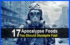 17 Apocalypse Foods You Should Stockpile Fast