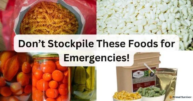 TheExpertsAreWrong.DonE28099tStockpileTheseFoodsforEmergencies