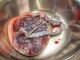 How To Deliver A Placenta After The Baby: Human Birth, Part 3
